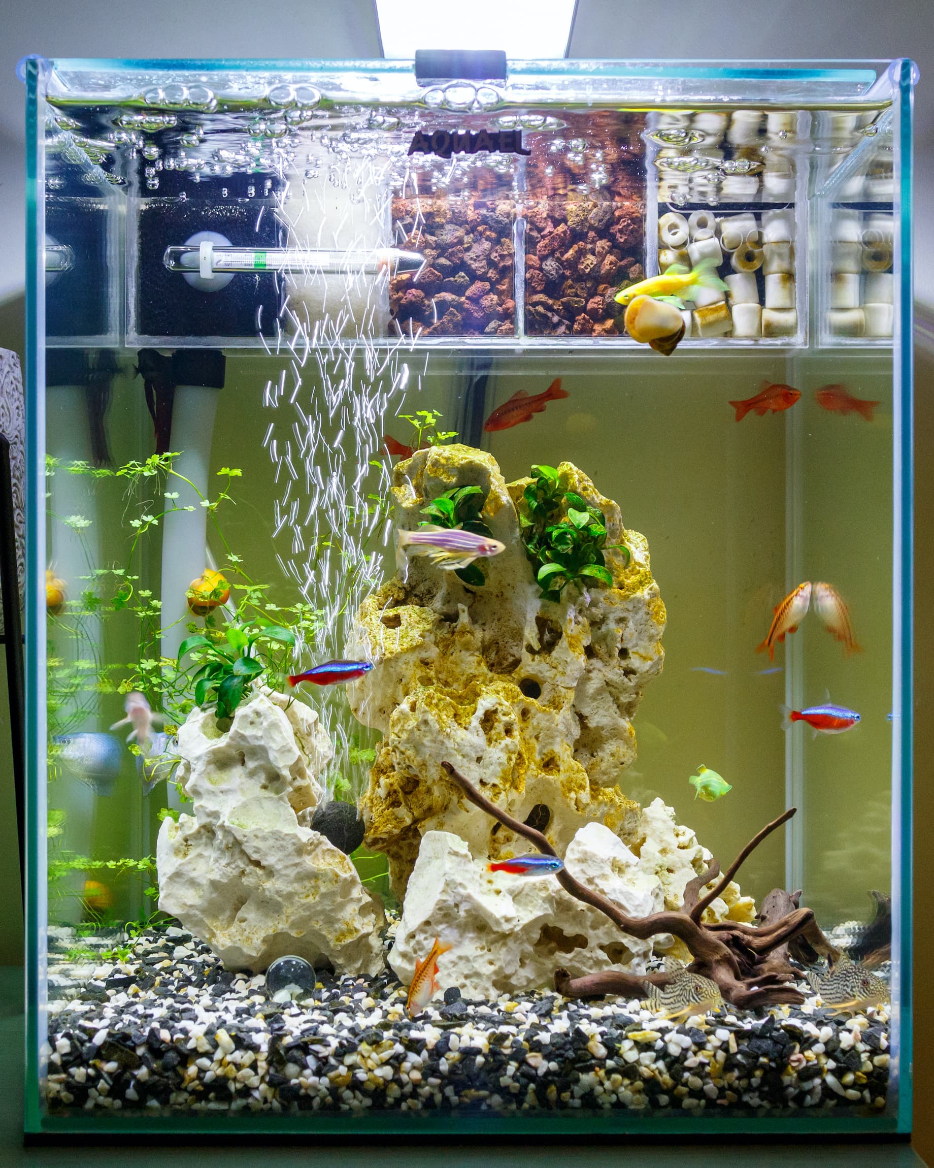 Acuario a medida de plástico
