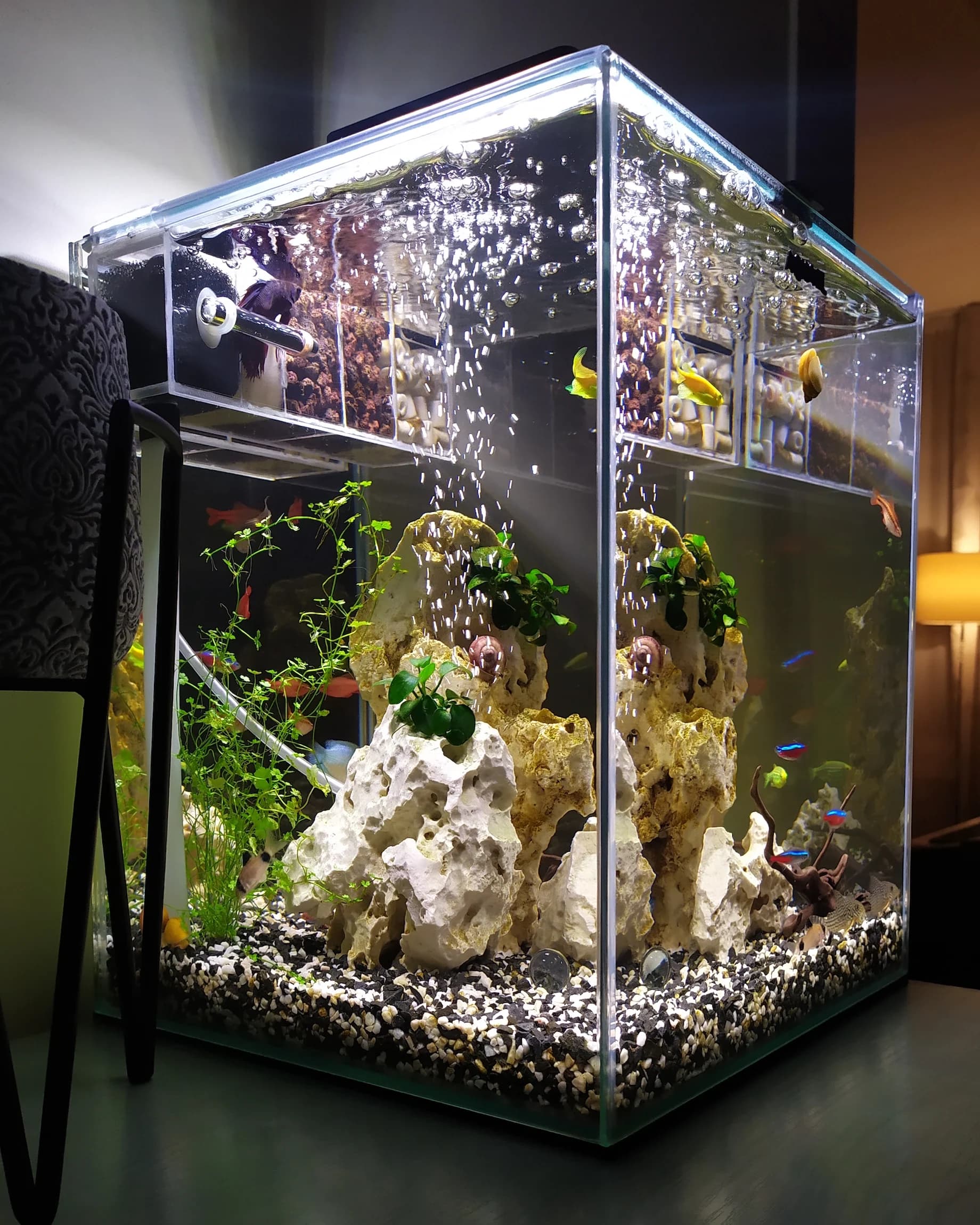aquarium-van-plexiglas