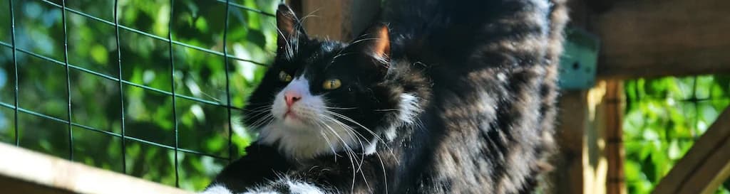 Casetas de plástico para animales | PlanchasdePlástico