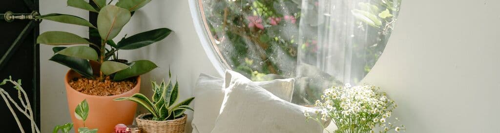 Plástico para ventanas de cristal