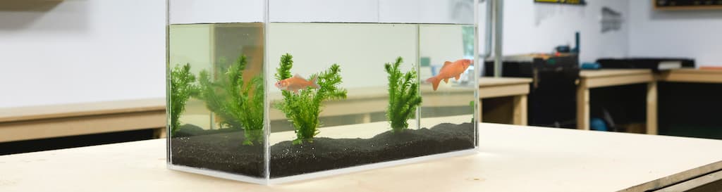 Zelf-een-aquarium-maken-van-plexiglas